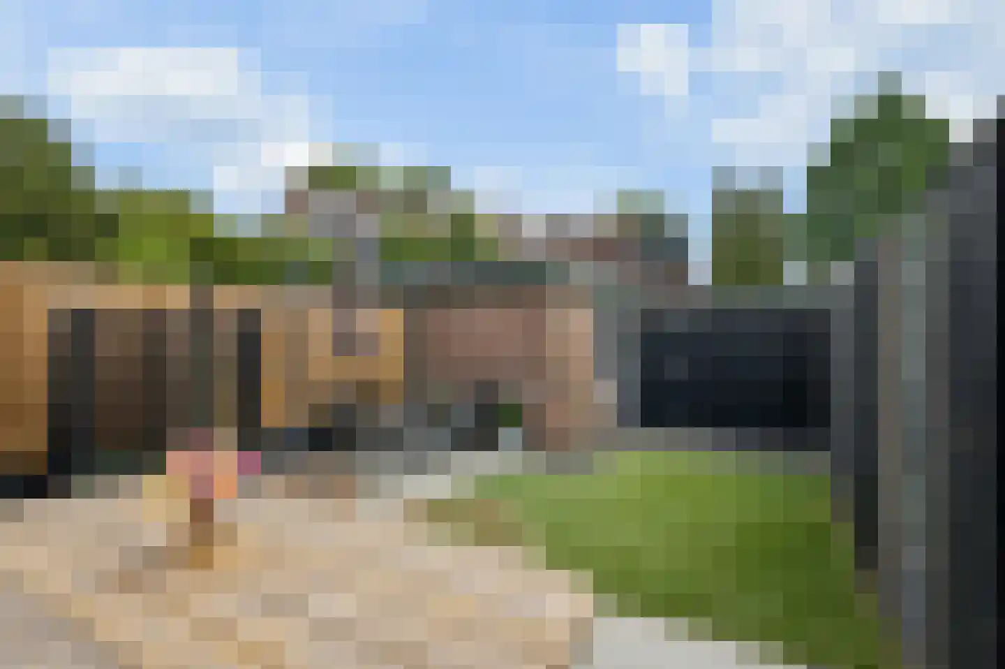 Muurzwaluw 9 Veenendaal thumbnail 33