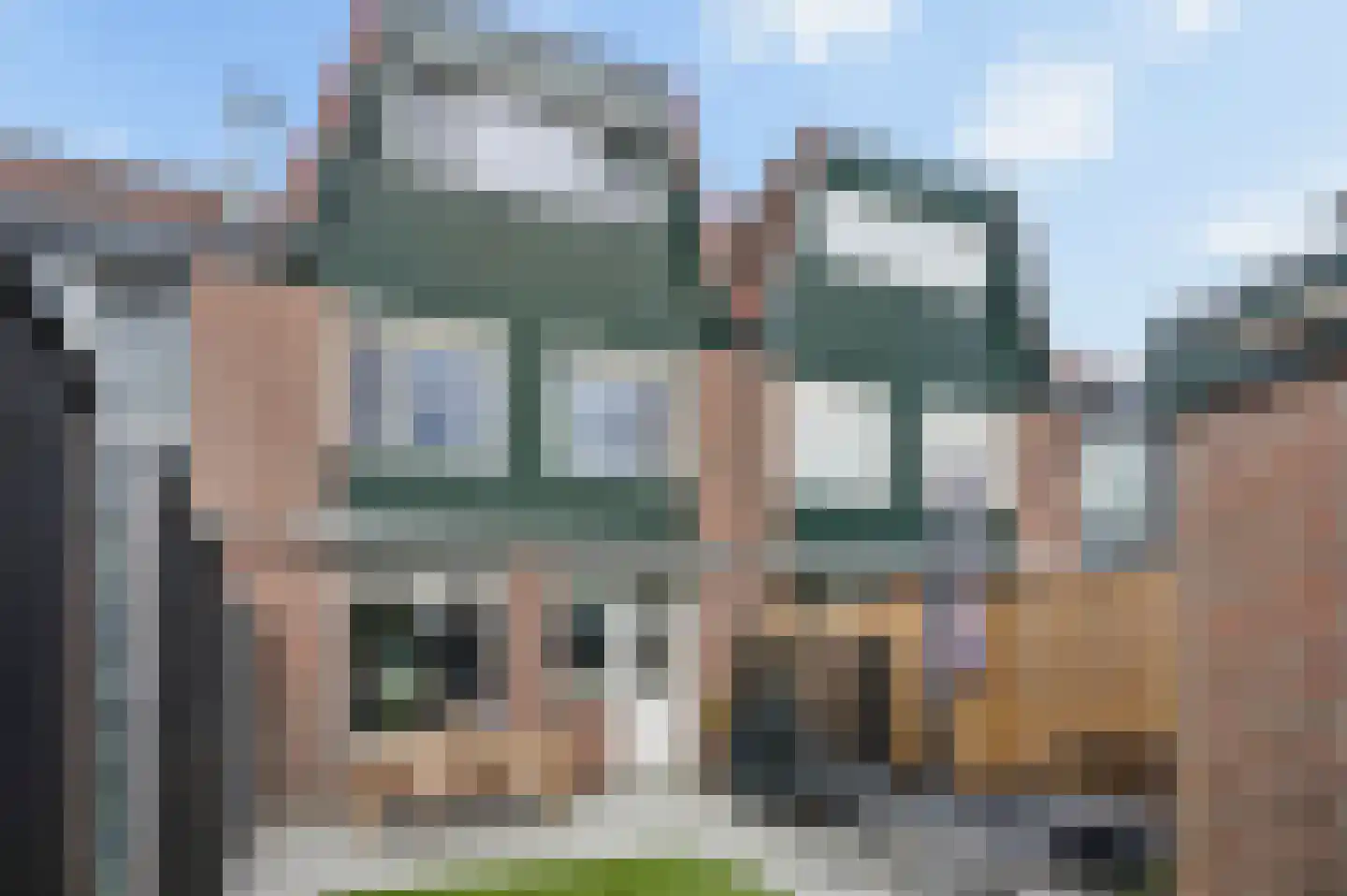 Muurzwaluw 9 Veenendaal thumbnail 34