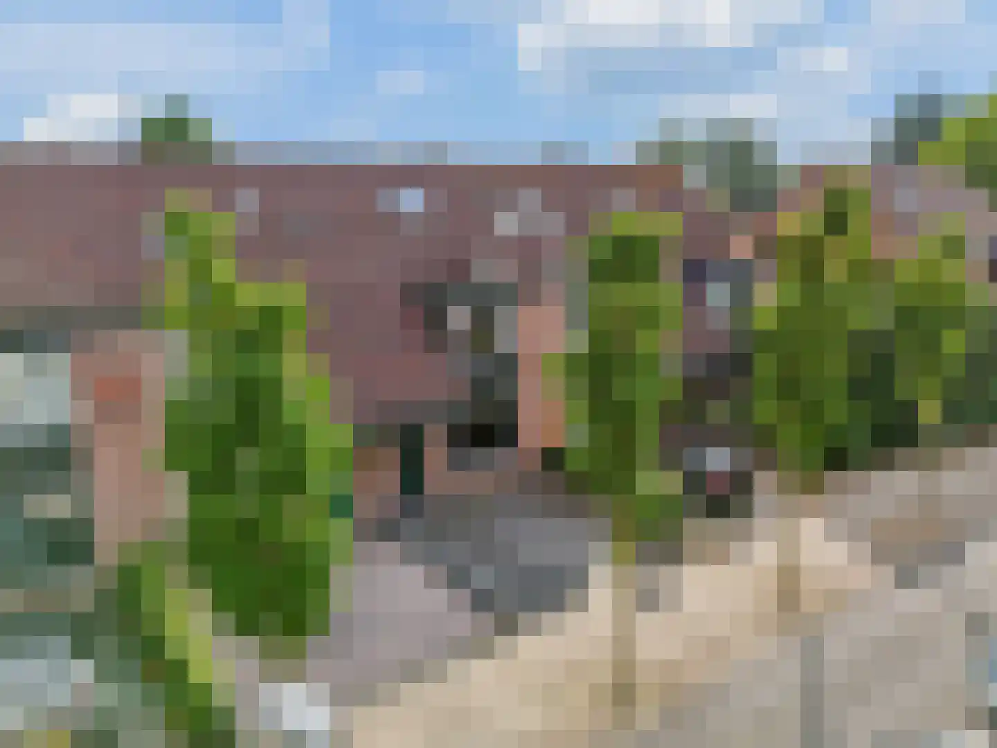 Muurzwaluw 9 Veenendaal thumbnail 41