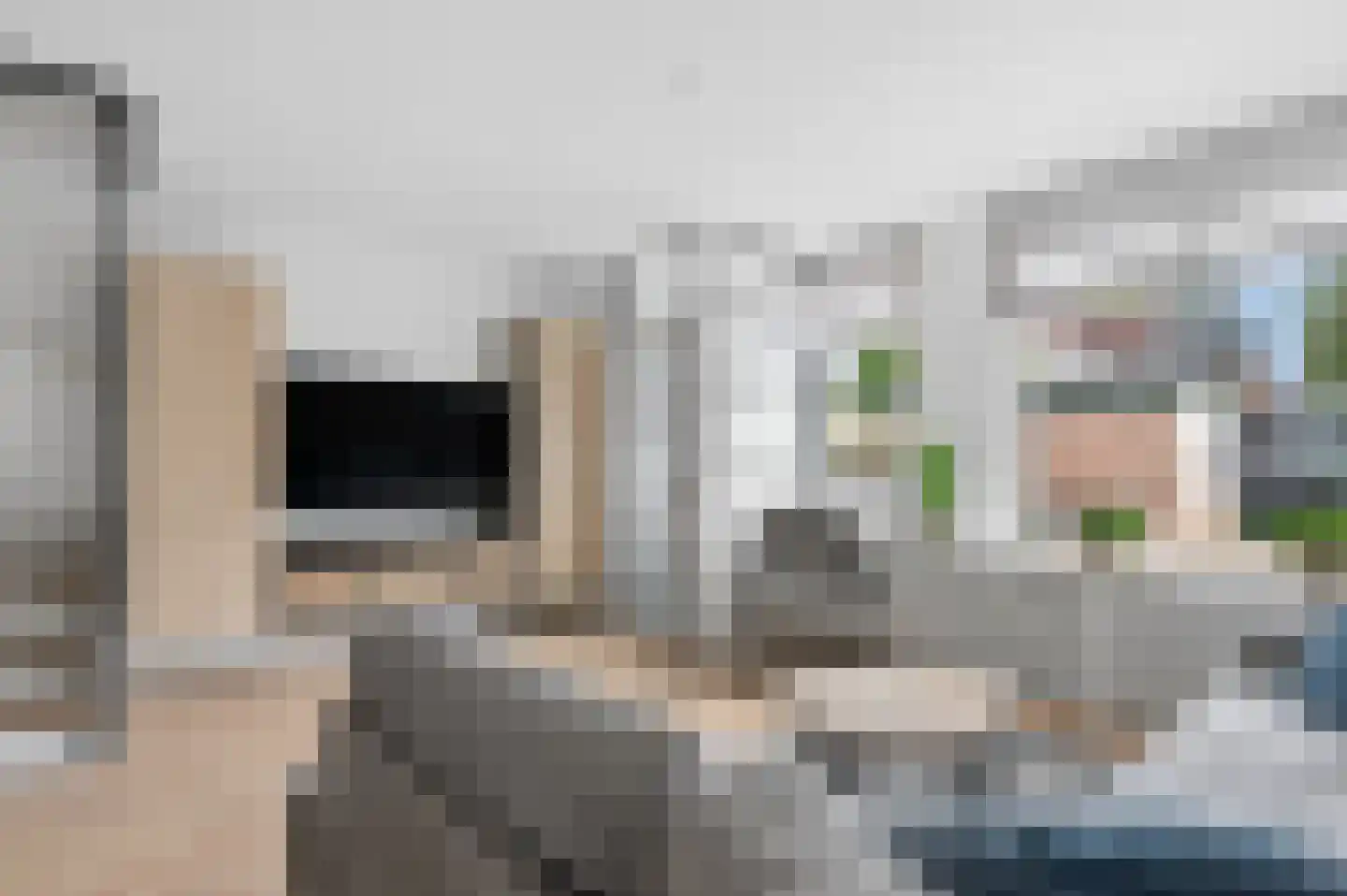 Muurzwaluw 9 Veenendaal thumbnail 5