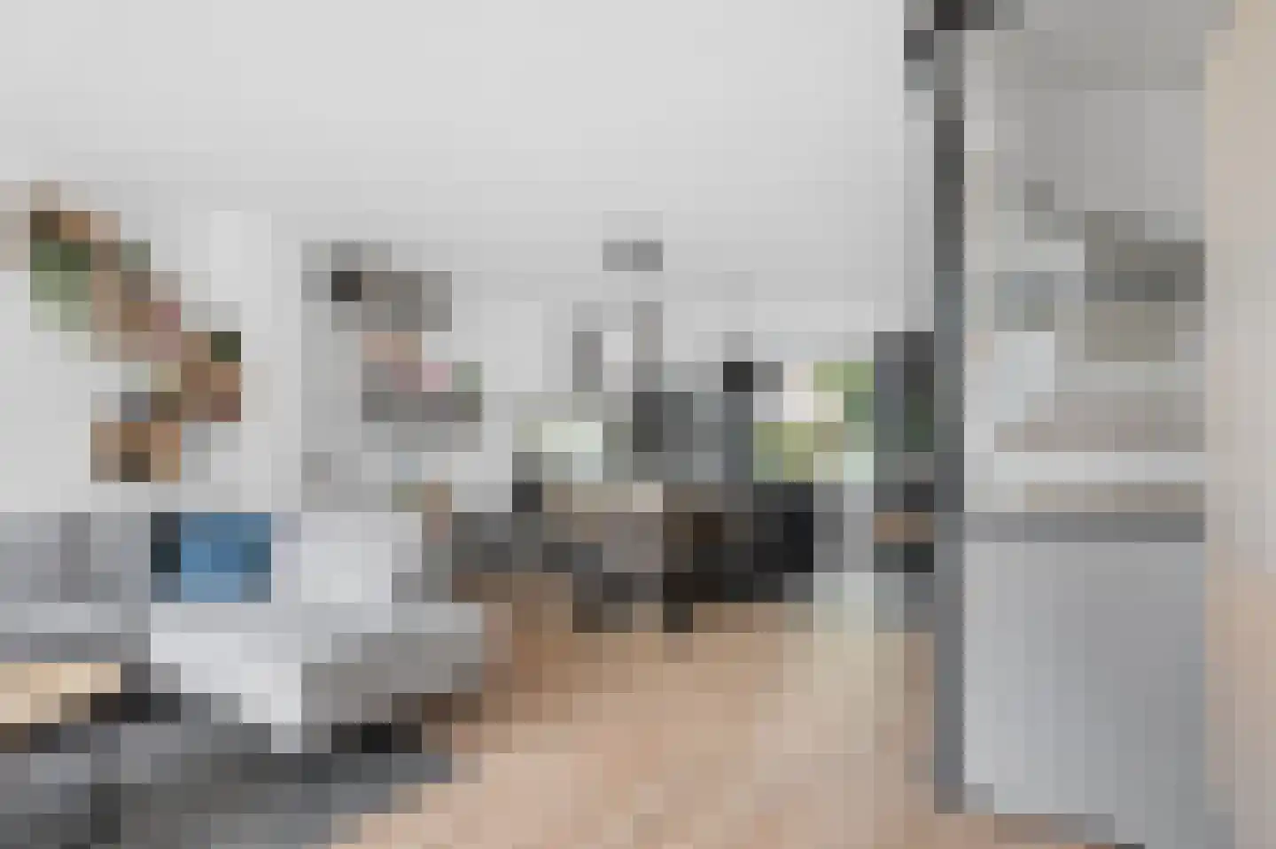 Muurzwaluw 9 Veenendaal thumbnail 6
