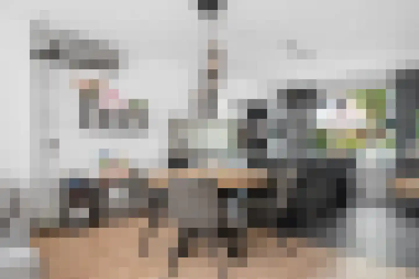 Muurzwaluw 9 Veenendaal thumbnail 7