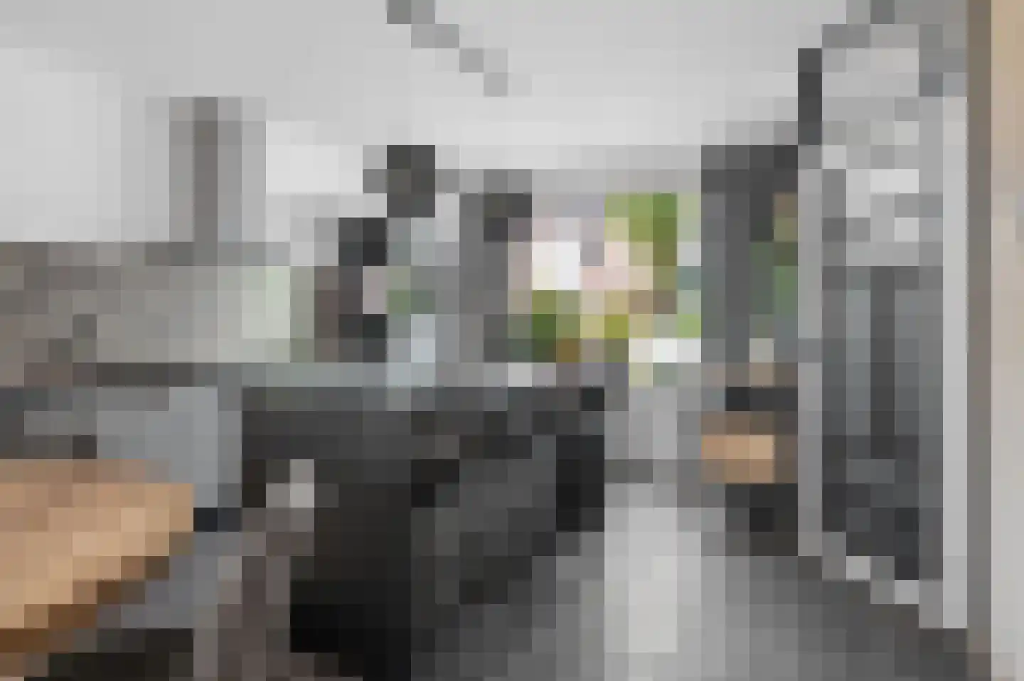 Muurzwaluw 9 Veenendaal thumbnail 8