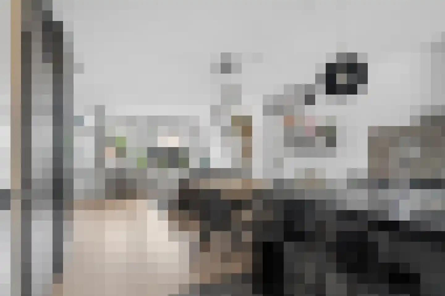 Muurzwaluw 9 Veenendaal thumbnail 9