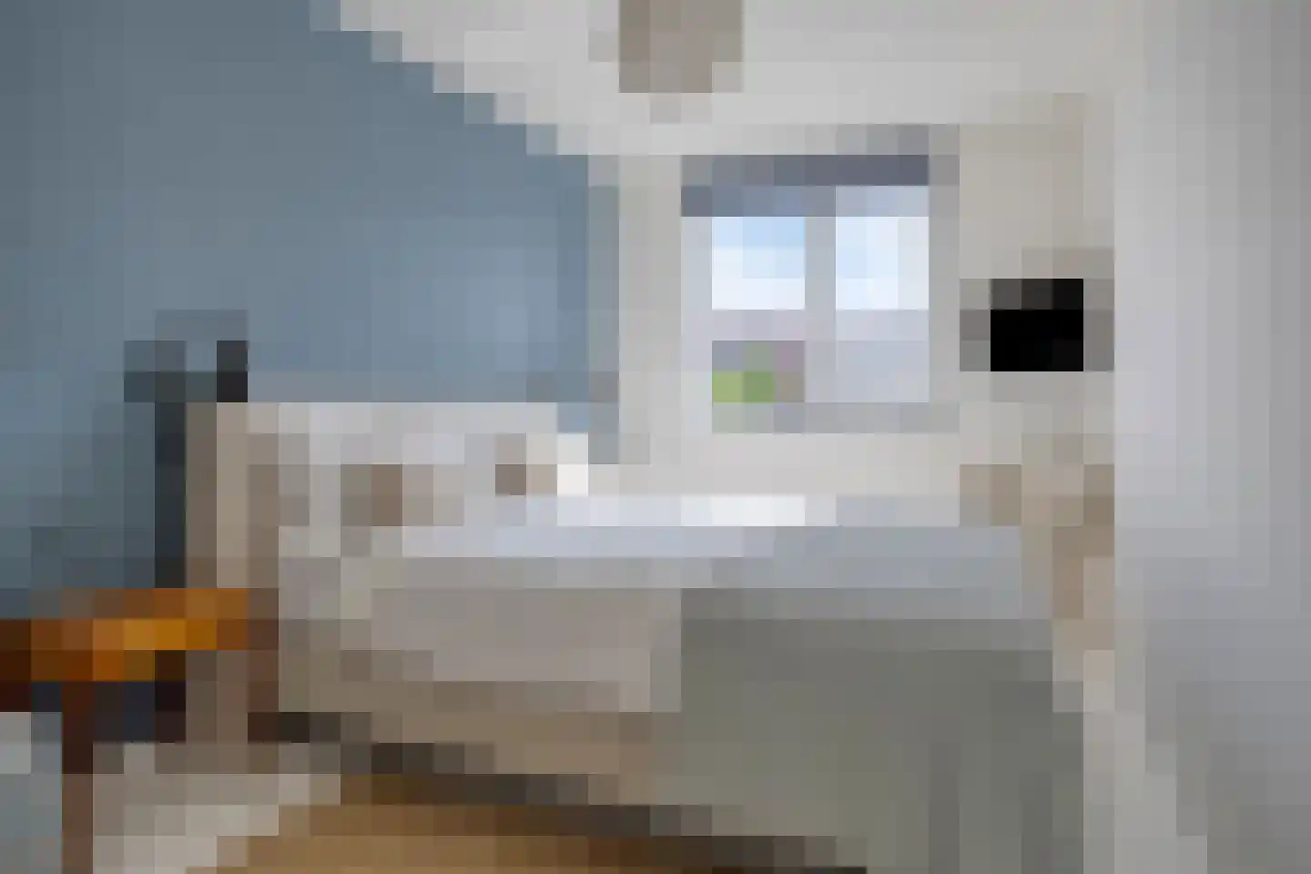 Muyderban 14 Muiden thumbnail 18