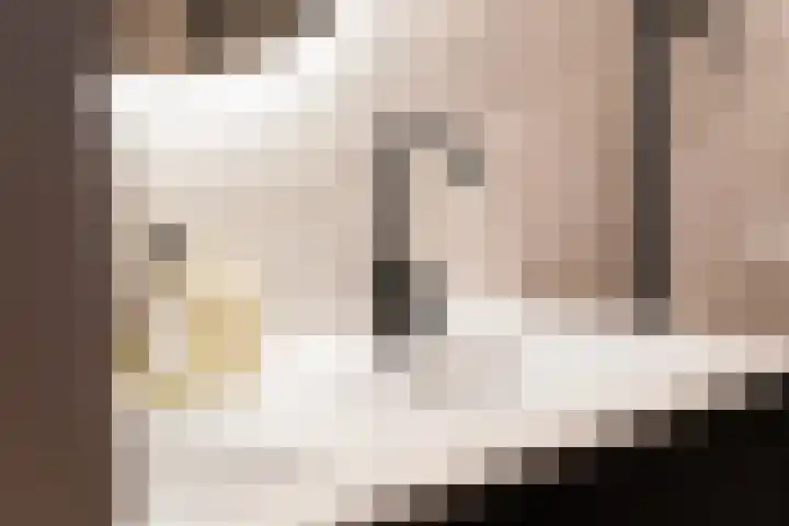Muyderban 22 Muiden thumbnail 22