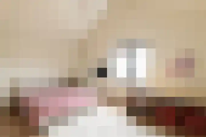 Muyderban 22 Muiden thumbnail 27