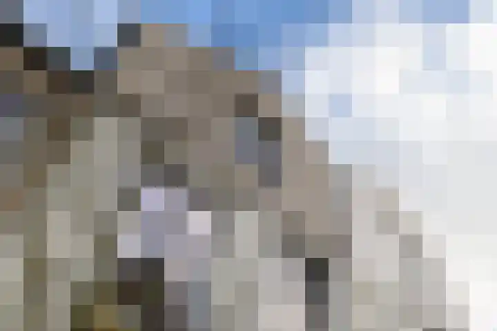 Muyderban 22 Muiden thumbnail 40