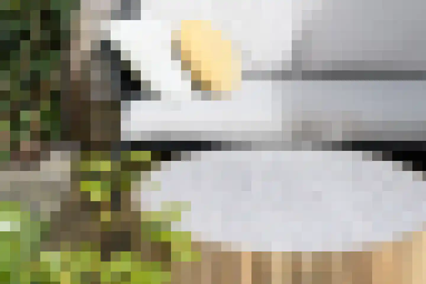 Muyderban 24 Muiden thumbnail 10