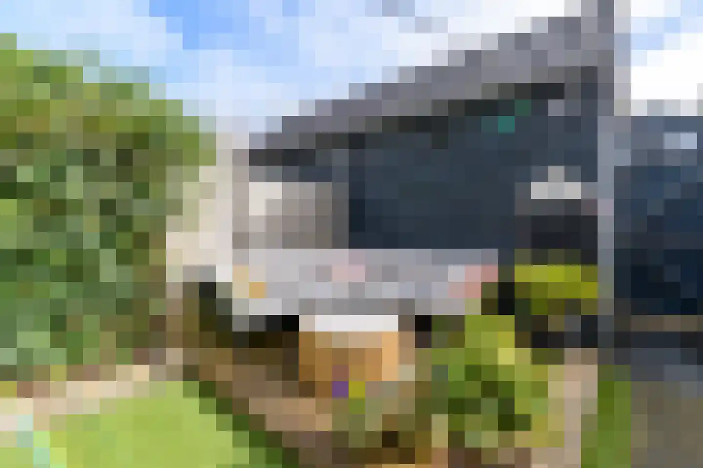 Muyderban 24 Muiden thumbnail 11