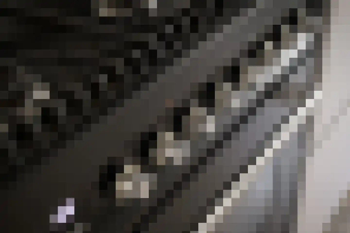 Muyderban 24 Muiden thumbnail 20