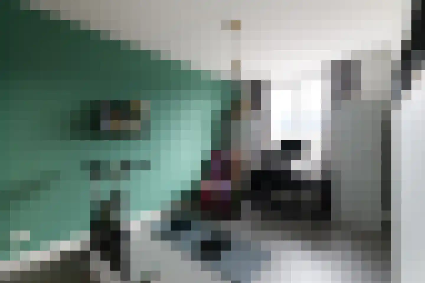 Muyderban 24 Muiden thumbnail 29