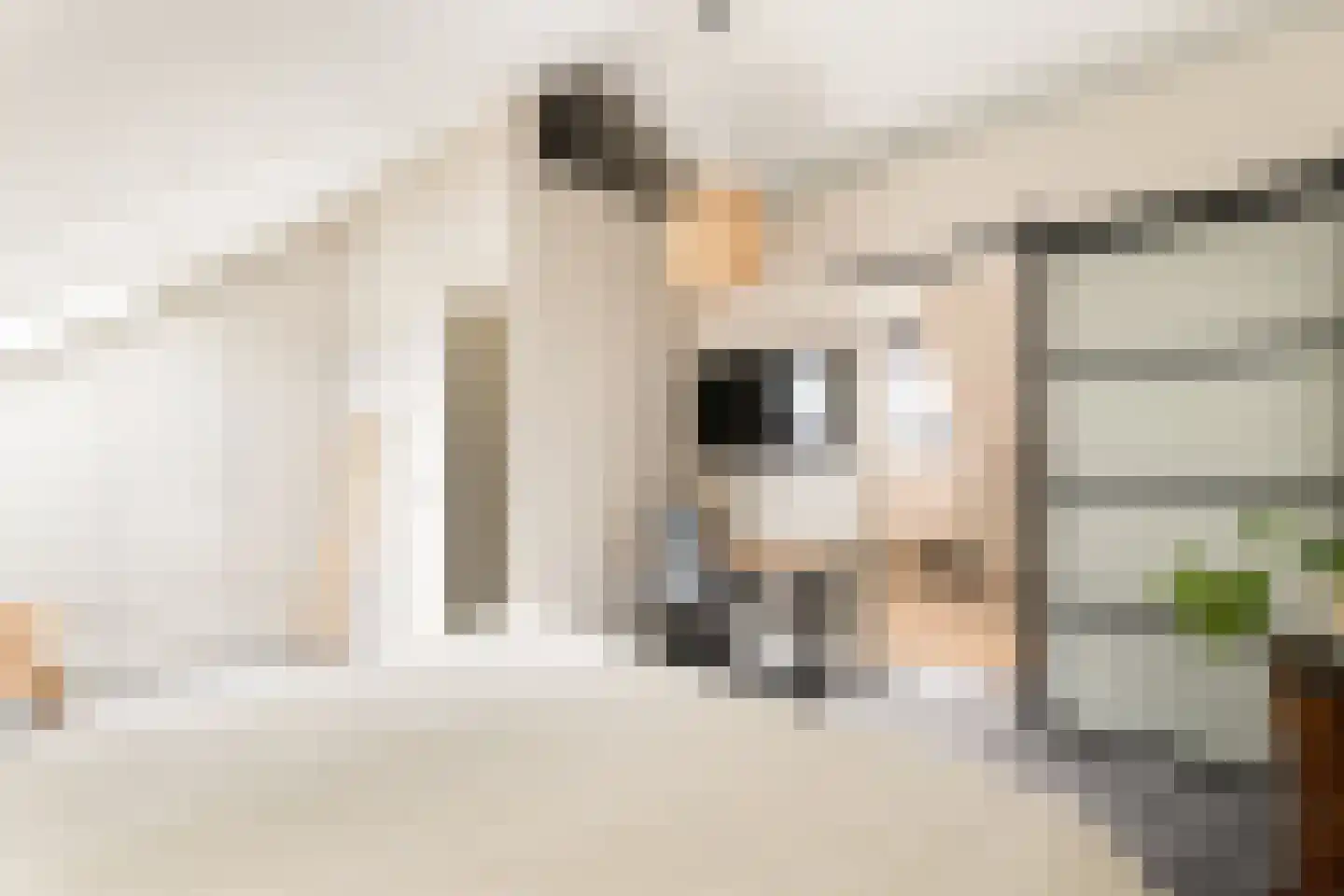 Muyderban 24 Muiden thumbnail 33