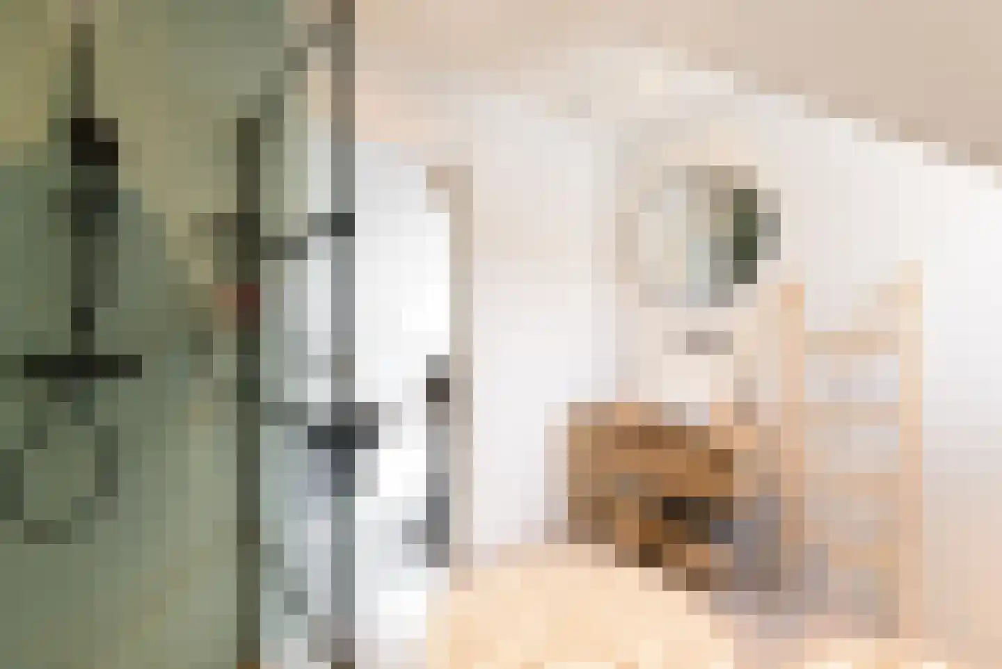 Muyderban 24 Muiden thumbnail 34