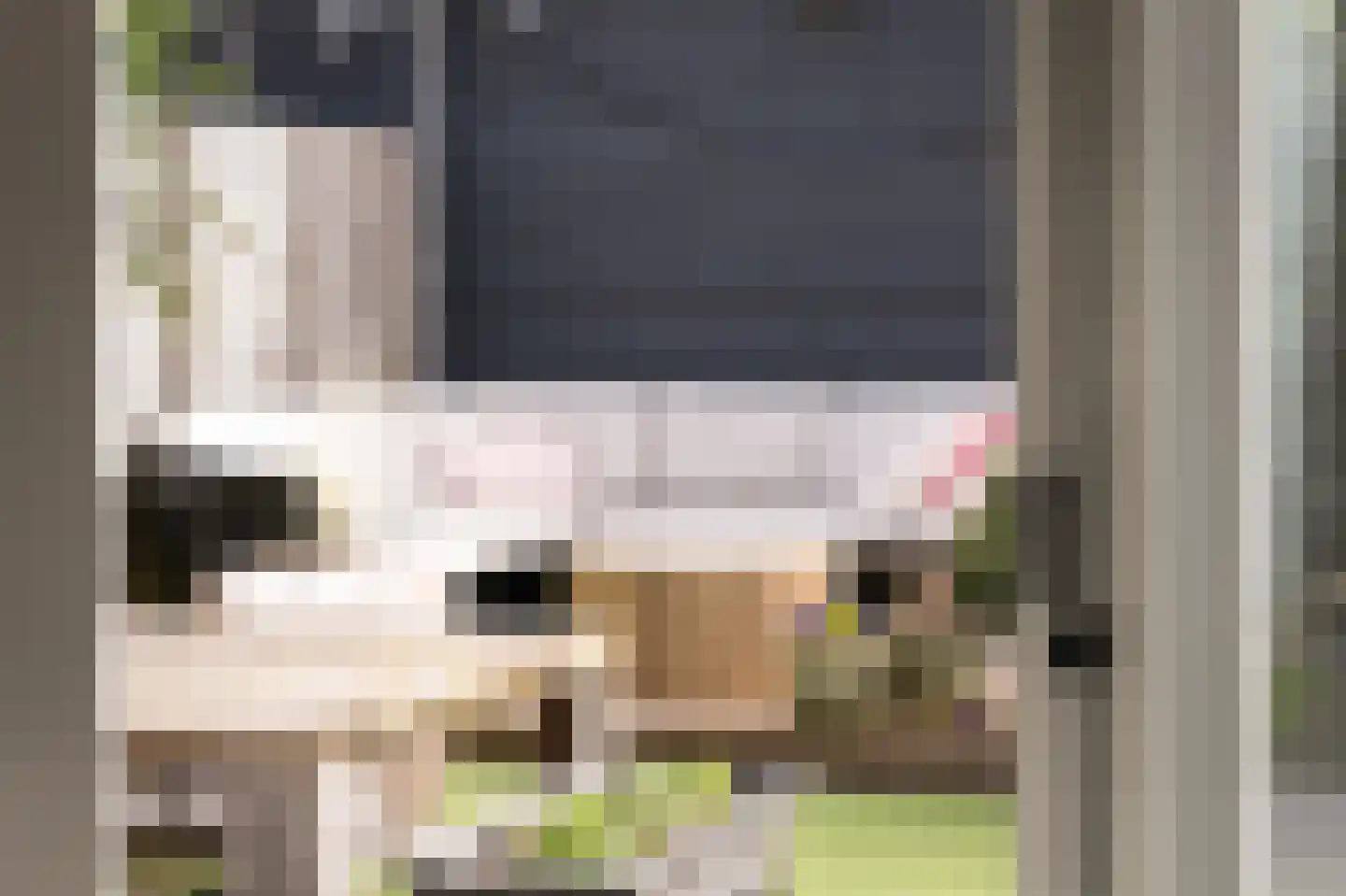 Muyderban 24 Muiden thumbnail 9