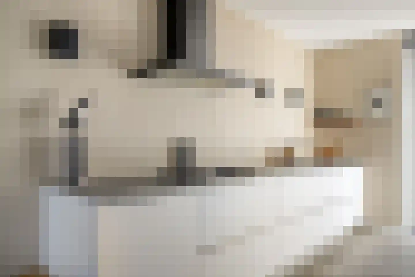Muyderban 26 Muiden thumbnail 15