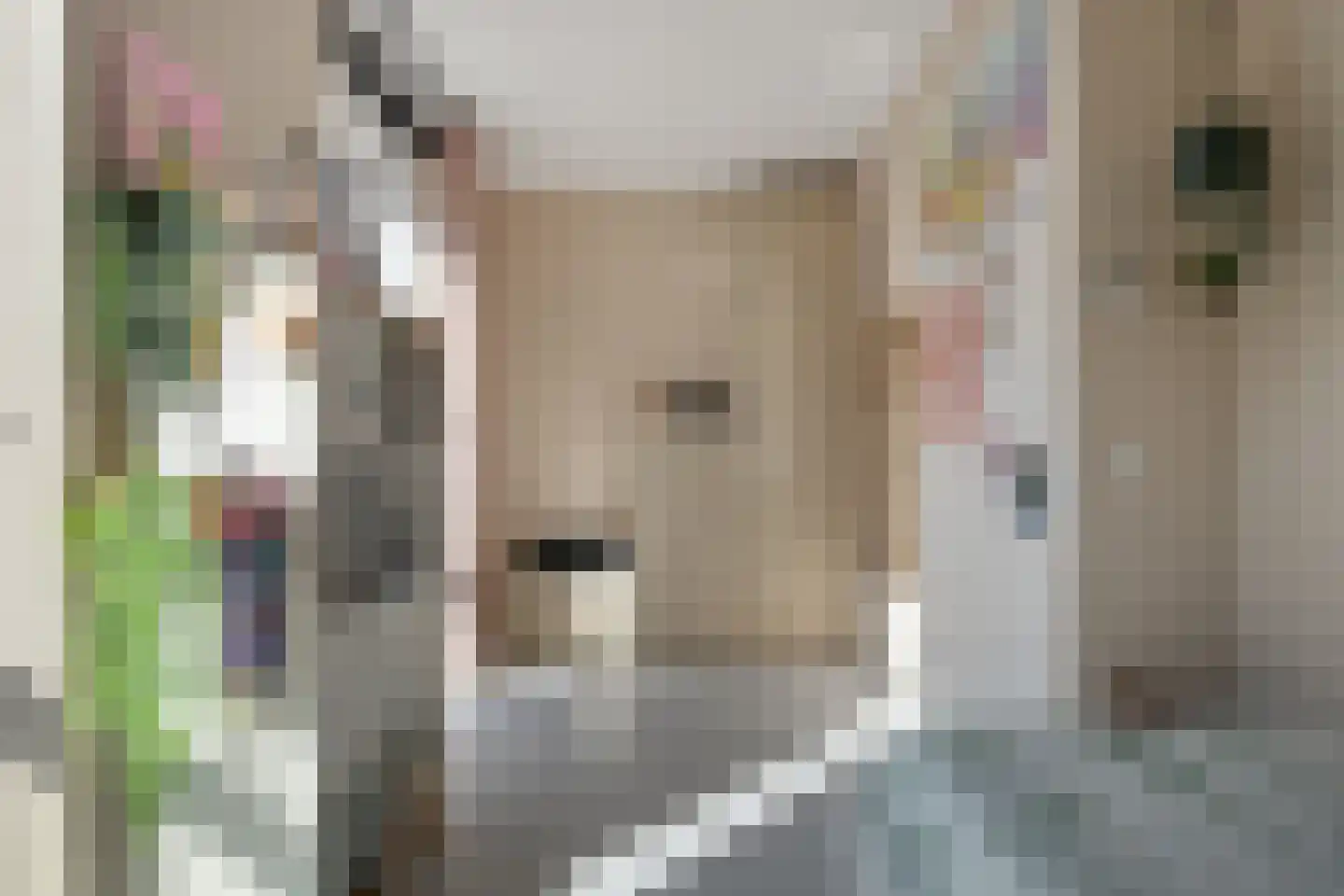 Muyderban 26 Muiden thumbnail 20