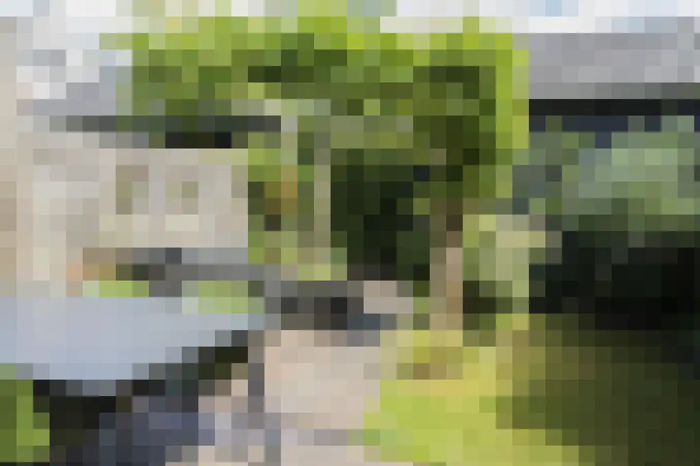 Muyderban 26 Muiden thumbnail 33