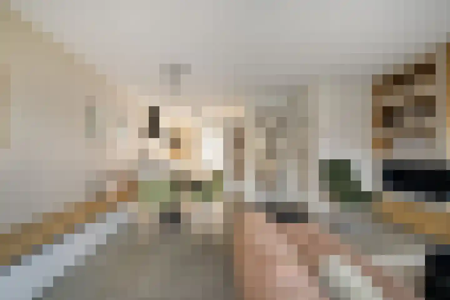 Muyderban 26 Muiden thumbnail 4
