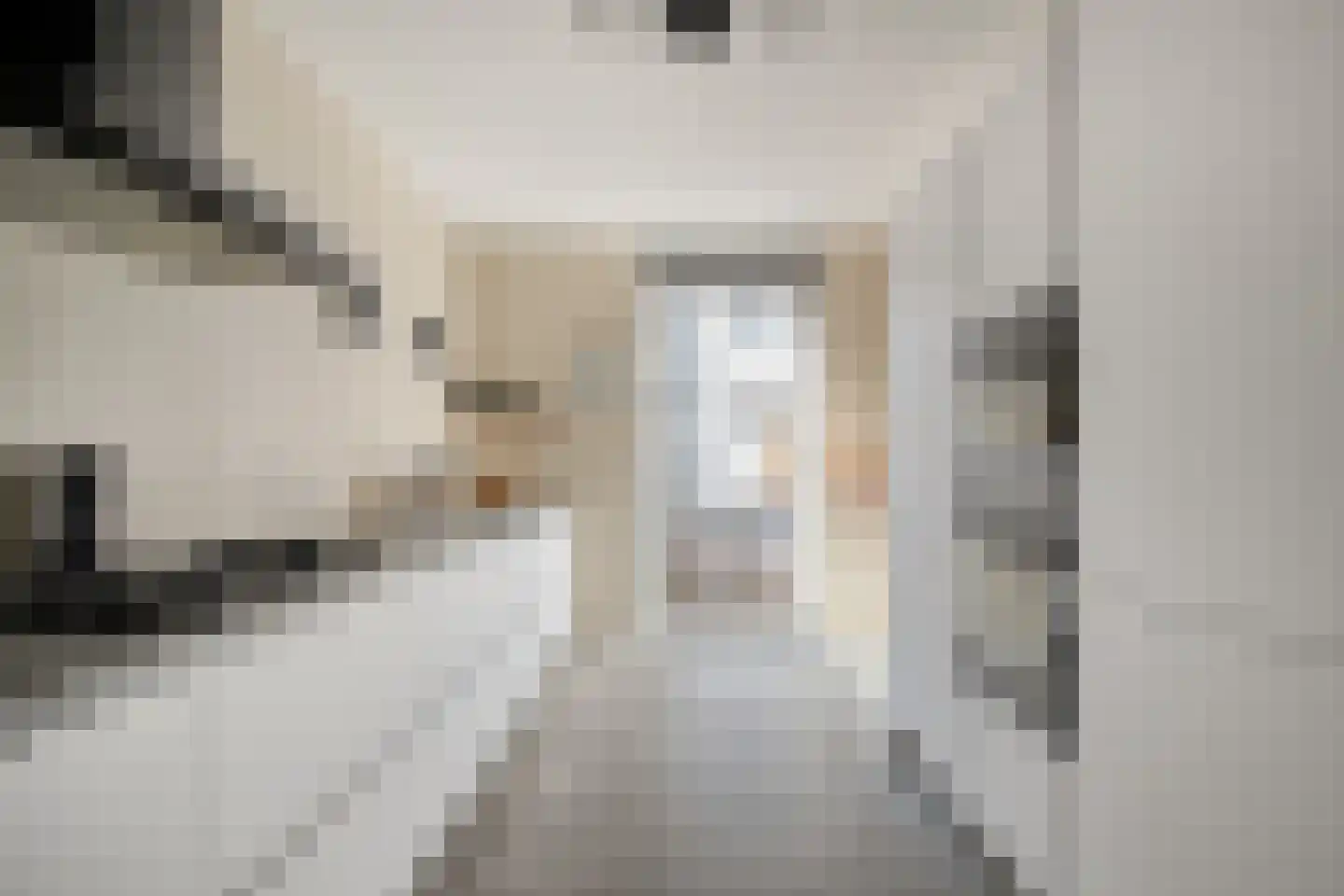 Muyderban 26 Muiden thumbnail 5
