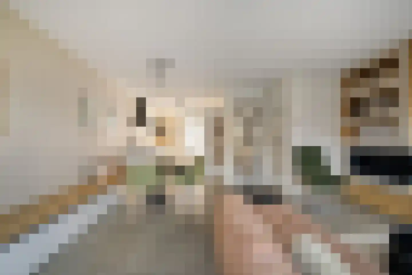 Muyderban 26 Muiden thumbnail 6