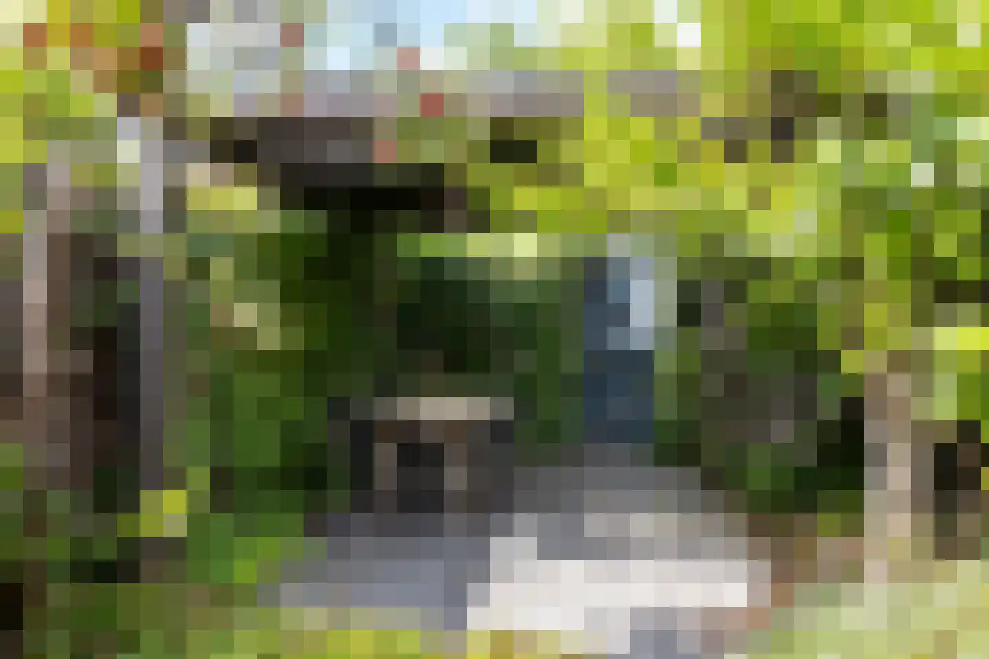 Muyderban 3 Muiden thumbnail 12