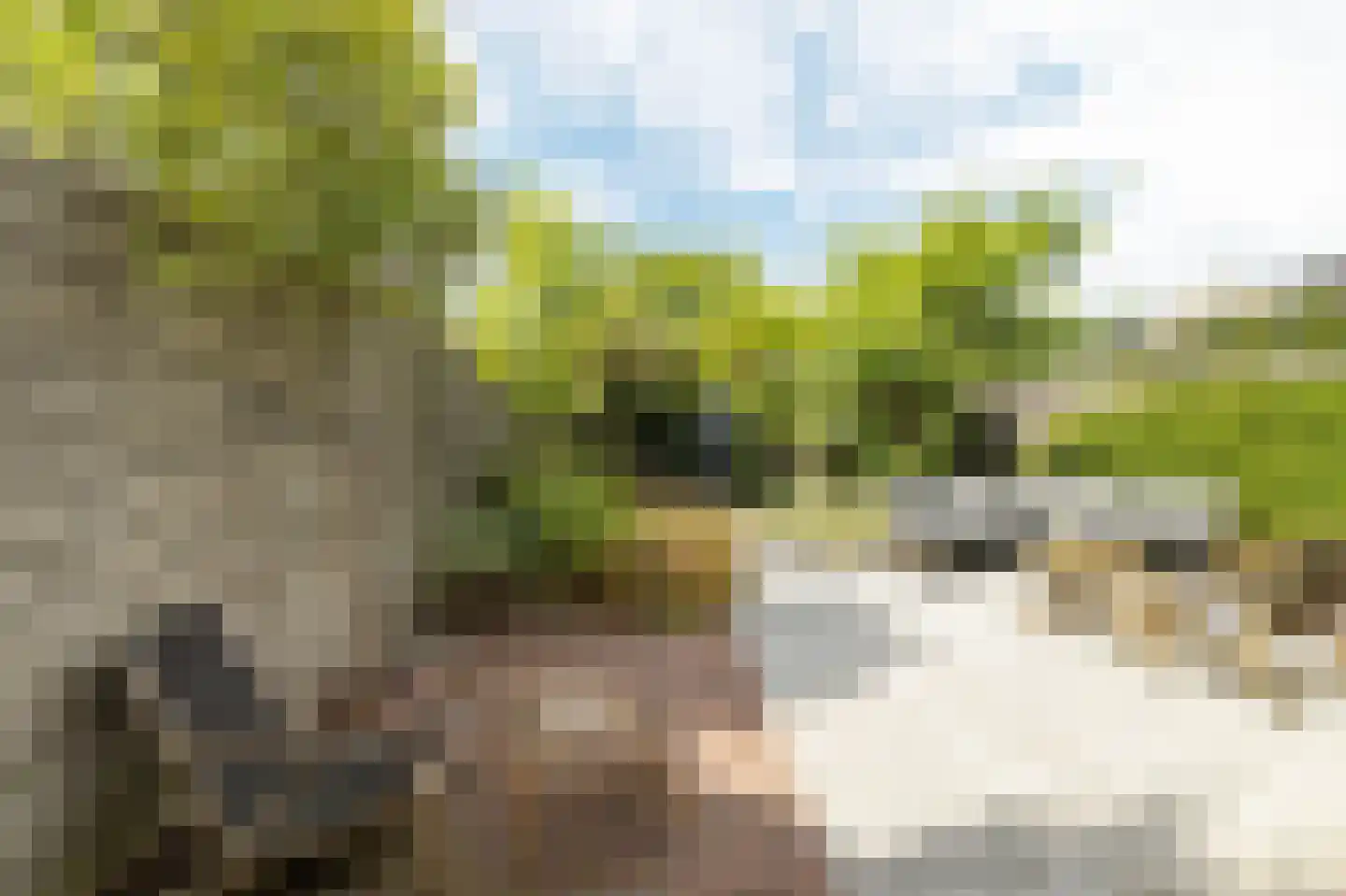 Muyderban 3 Muiden thumbnail 14