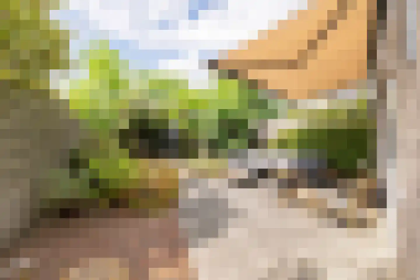Muyderban 3 Muiden thumbnail 15