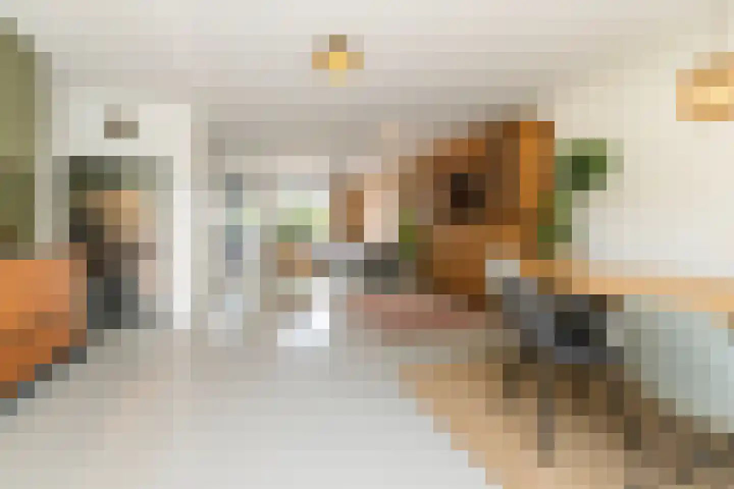 Muyderban 3 Muiden thumbnail 7