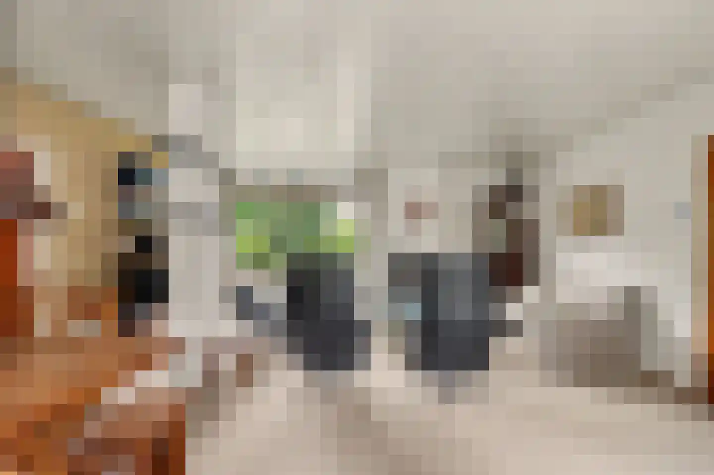 Muyeweg 12 Nieuwerkerk thumbnail 13