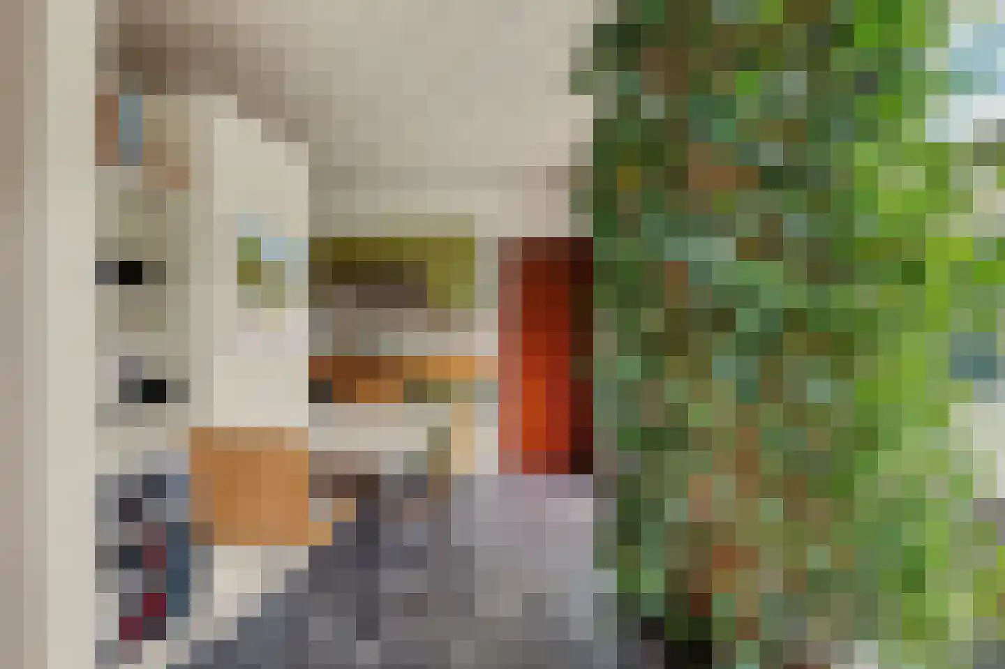 Muyeweg 12 Nieuwerkerk thumbnail 19
