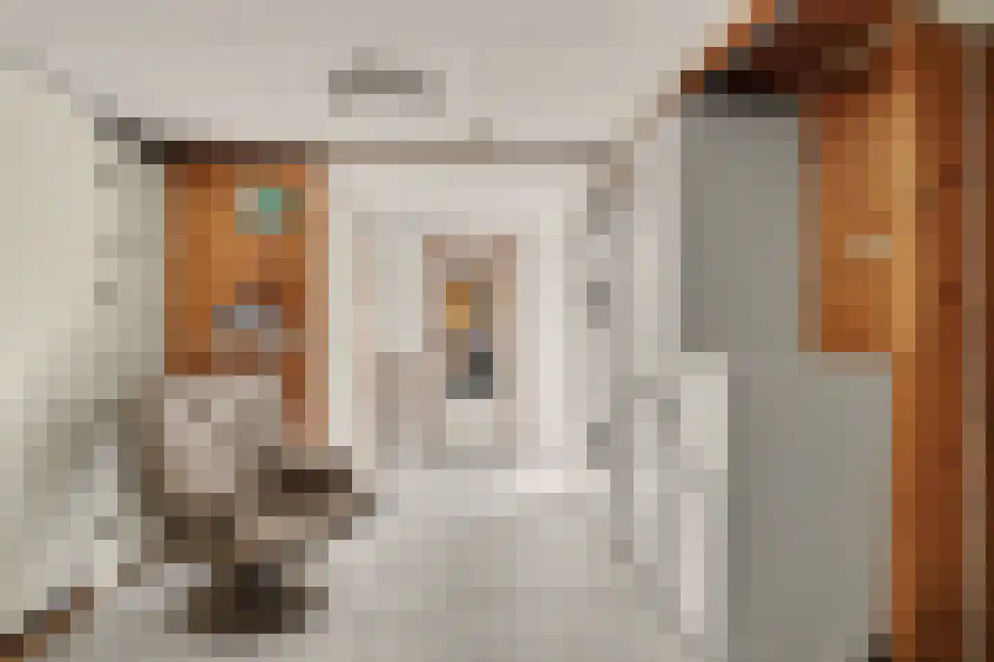 Muyeweg 12 Nieuwerkerk thumbnail 24