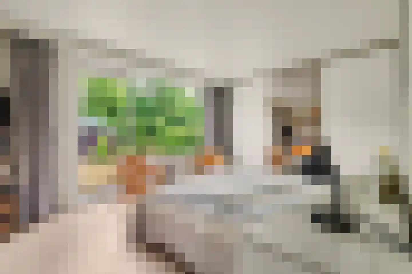 Muyeweg 12 Nieuwerkerk thumbnail 26