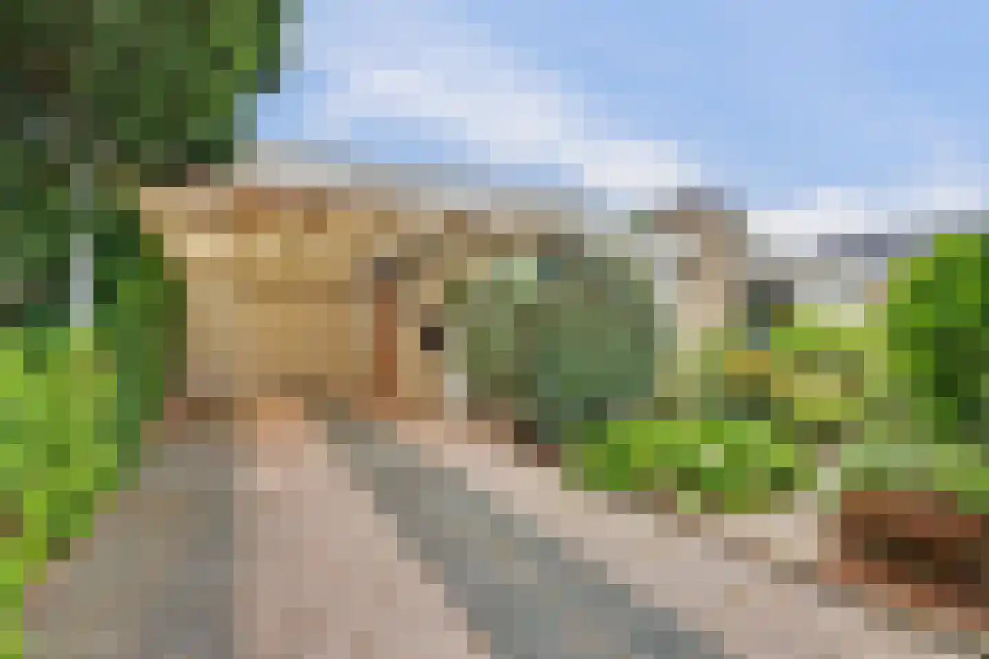 Muyeweg 12 Nieuwerkerk thumbnail 4