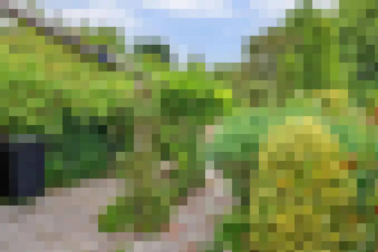 Muyeweg 12 Nieuwerkerk thumbnail 49
