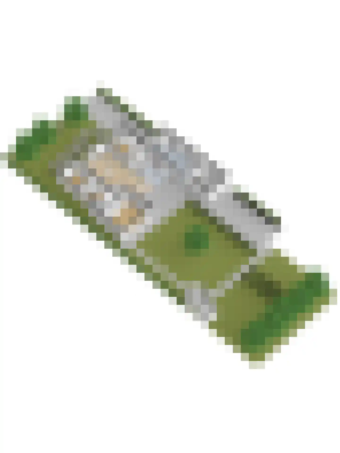 Muyeweg 12 Nieuwerkerk thumbnail 65