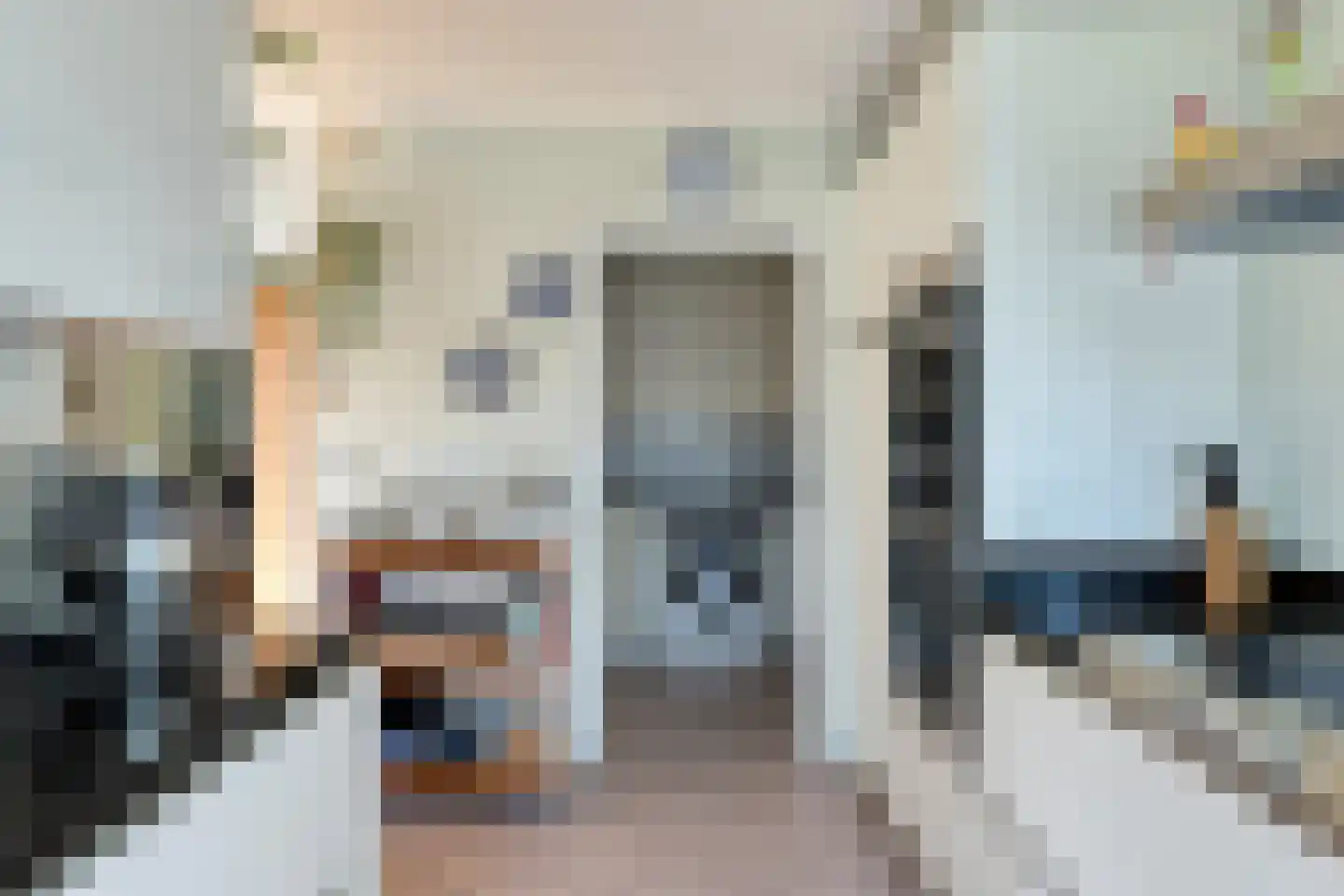 Muyeweg 28 Nieuwerkerk thumbnail 22