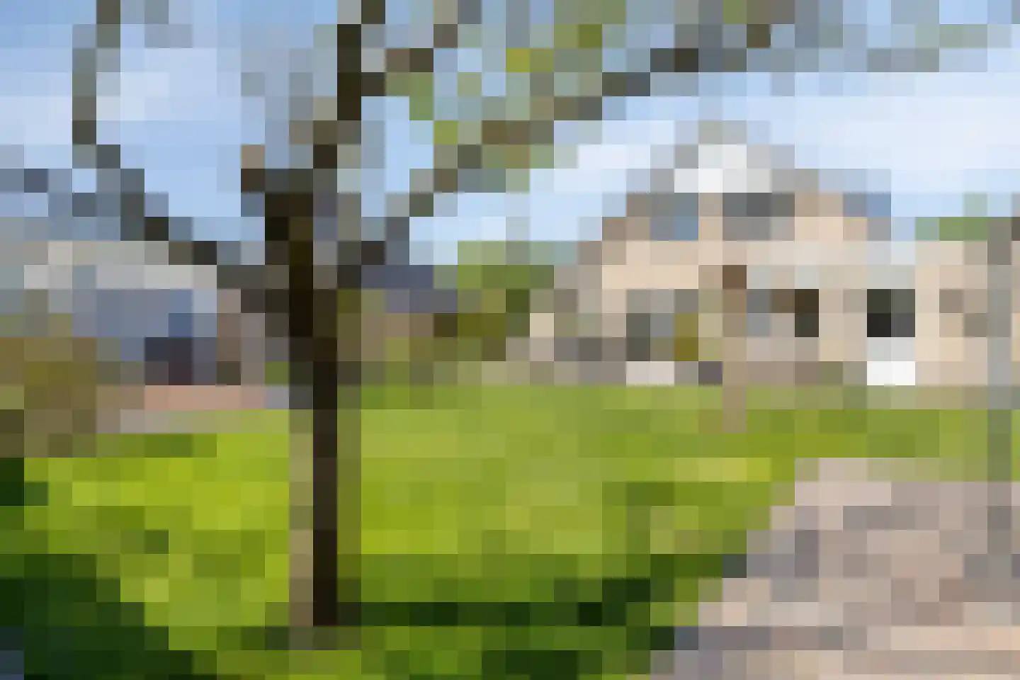 Muyeweg 28 Nieuwerkerk thumbnail 54