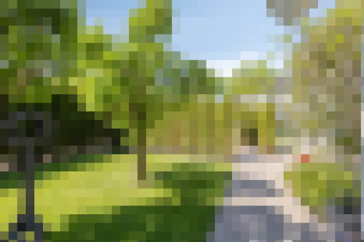 Muyeweg 28 Nieuwerkerk thumbnail 68
