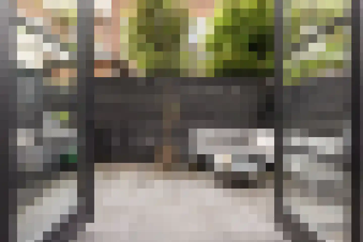 Muys van Holystraat 14 Dordrecht thumbnail 17