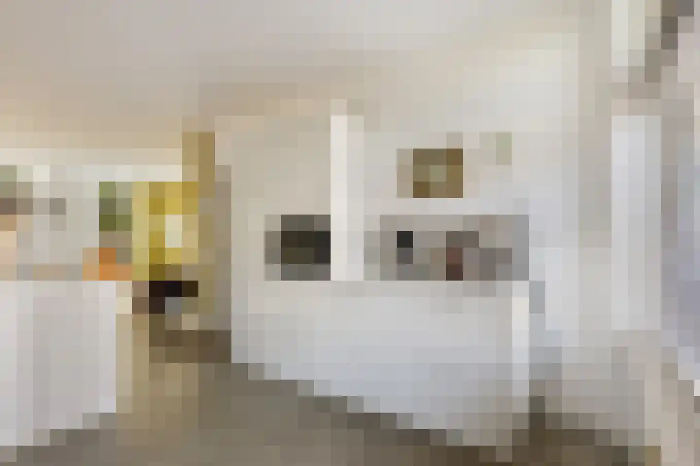 Muys van Holystraat 20 Dordrecht thumbnail 18