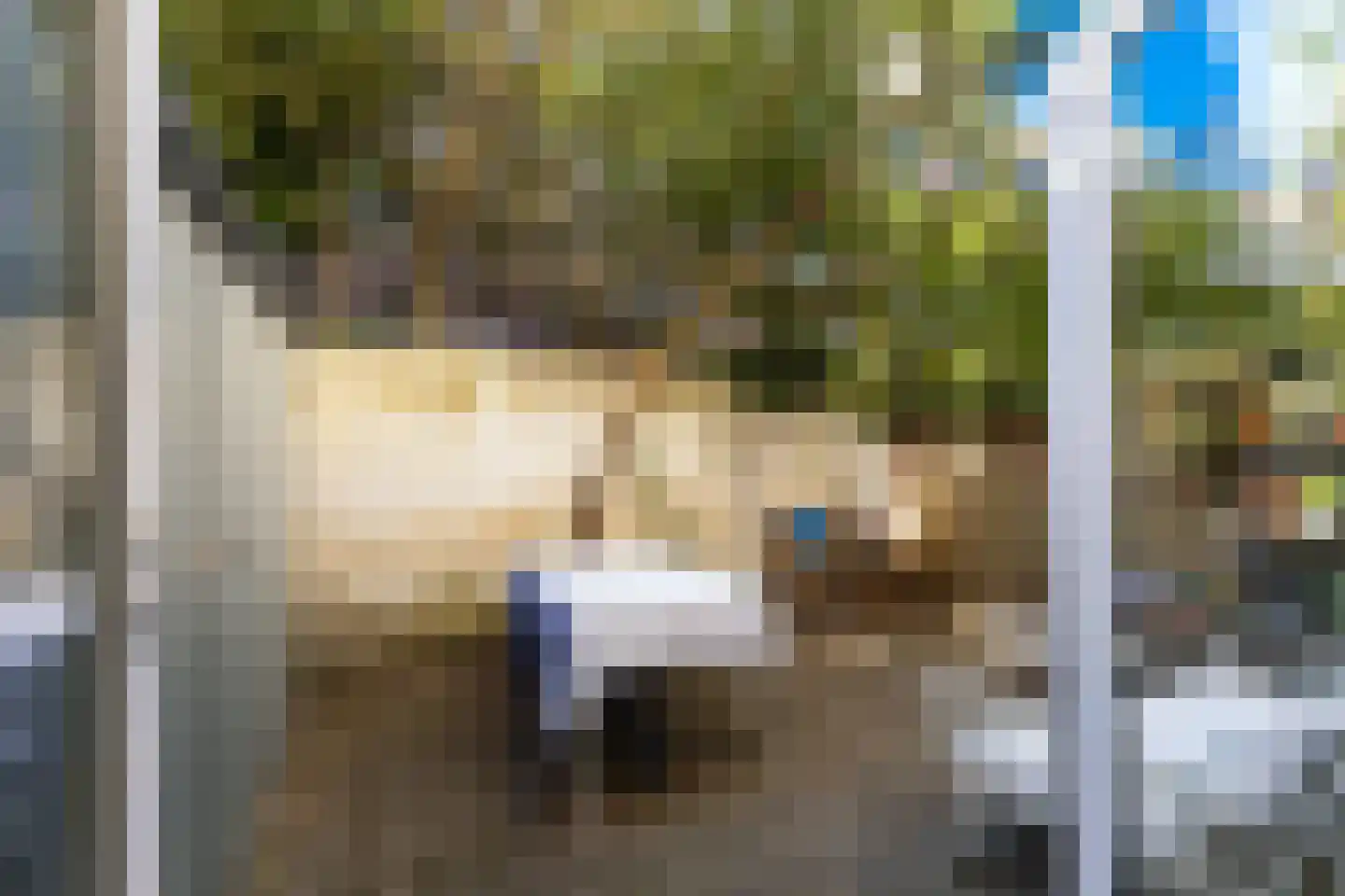 Muys van Holystraat 20 Dordrecht thumbnail 30