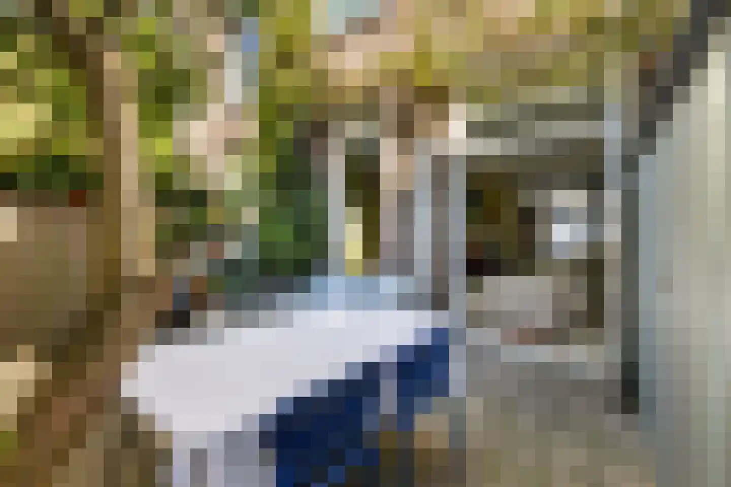 Muys van Holystraat 20 Dordrecht thumbnail 31