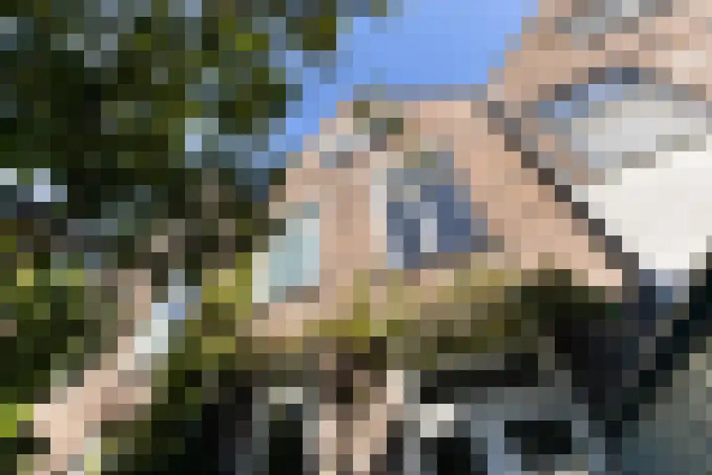 Muys van Holystraat 20 Dordrecht thumbnail 33