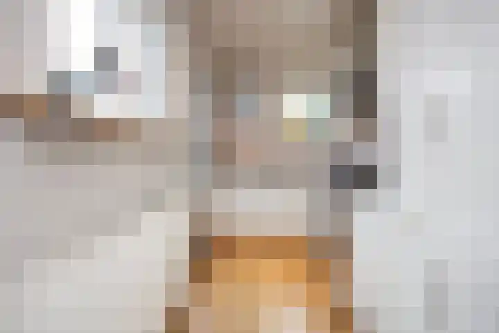 Muyskenweg 13 Utrecht thumbnail 11