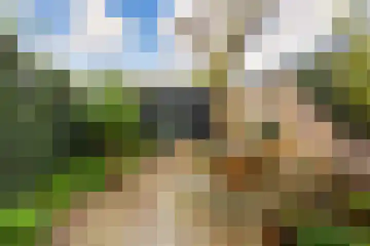 Muyskenweg 13 Utrecht thumbnail 16