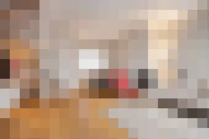 Muyskenweg 13 Utrecht thumbnail 7