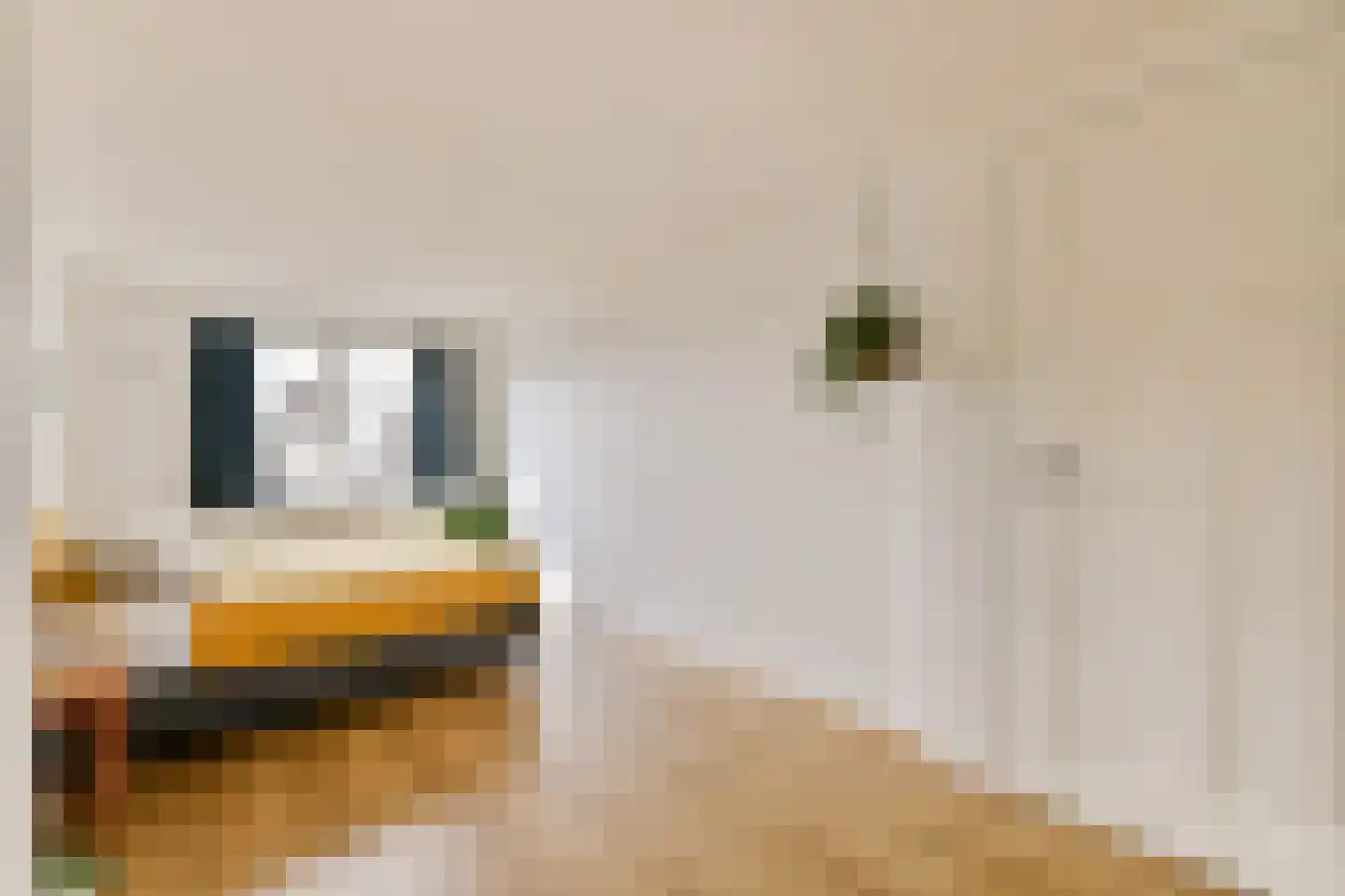 Muyskenweg 45 Utrecht thumbnail 16