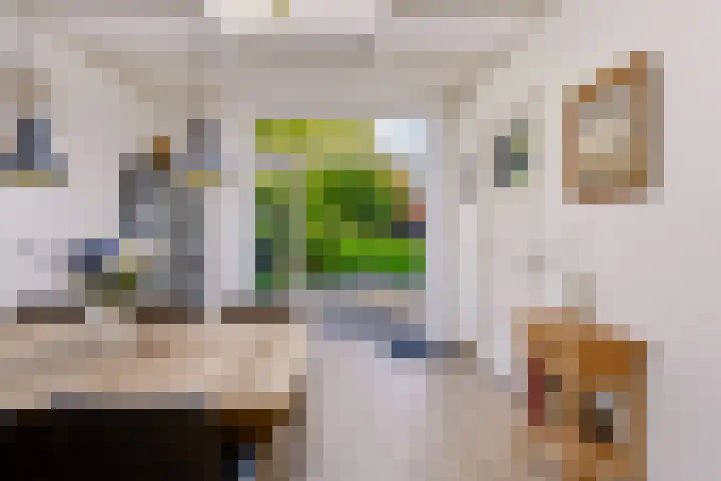 Muyweg 23 De Cocksdorp thumbnail 25