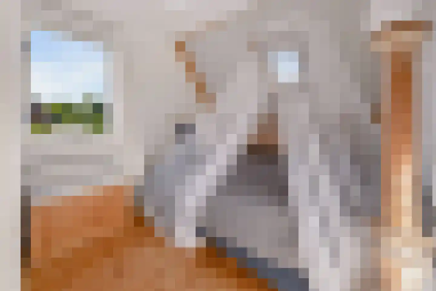 Muyweg 23 De Cocksdorp thumbnail 33